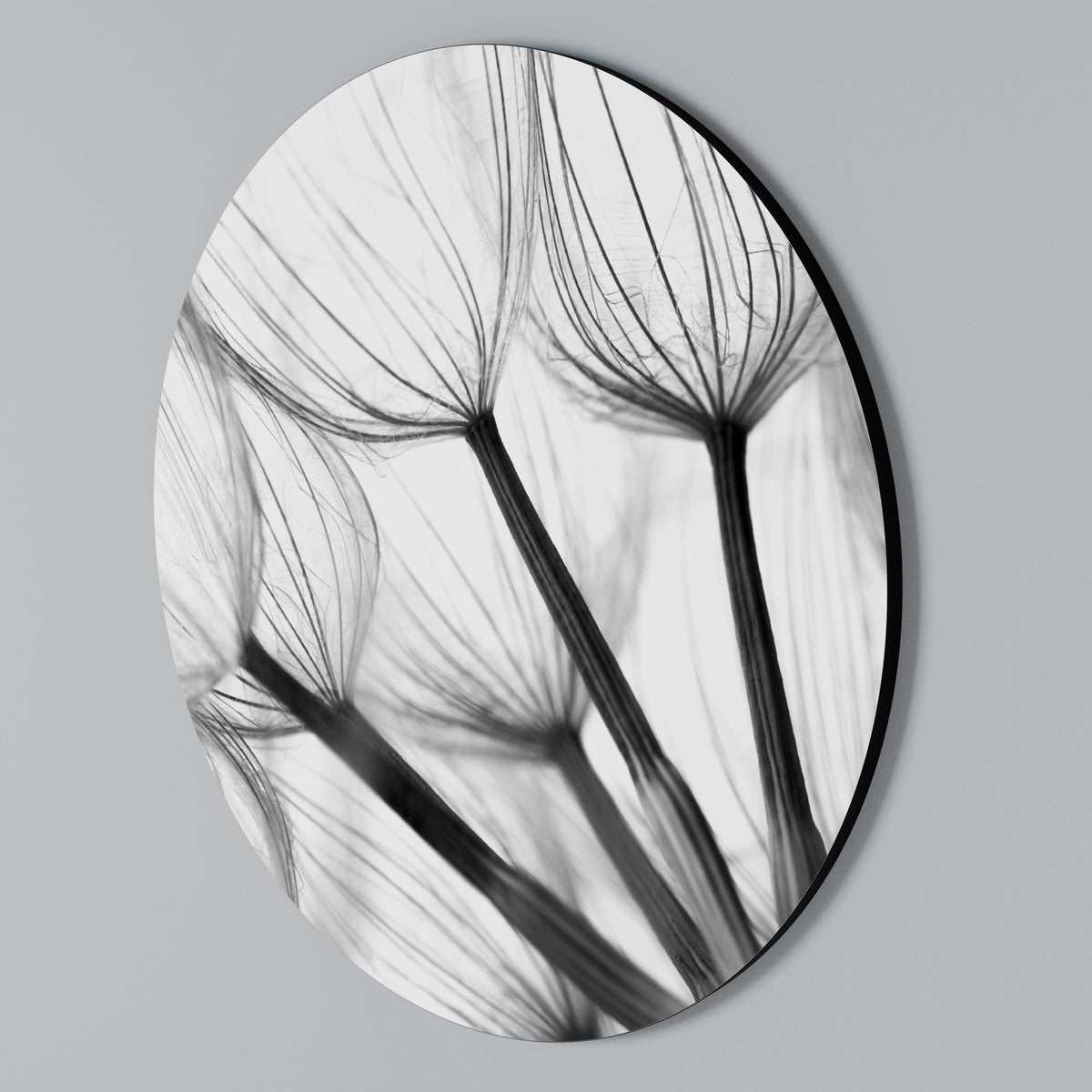 SILKEN FLIGHT Rundes Wandbild