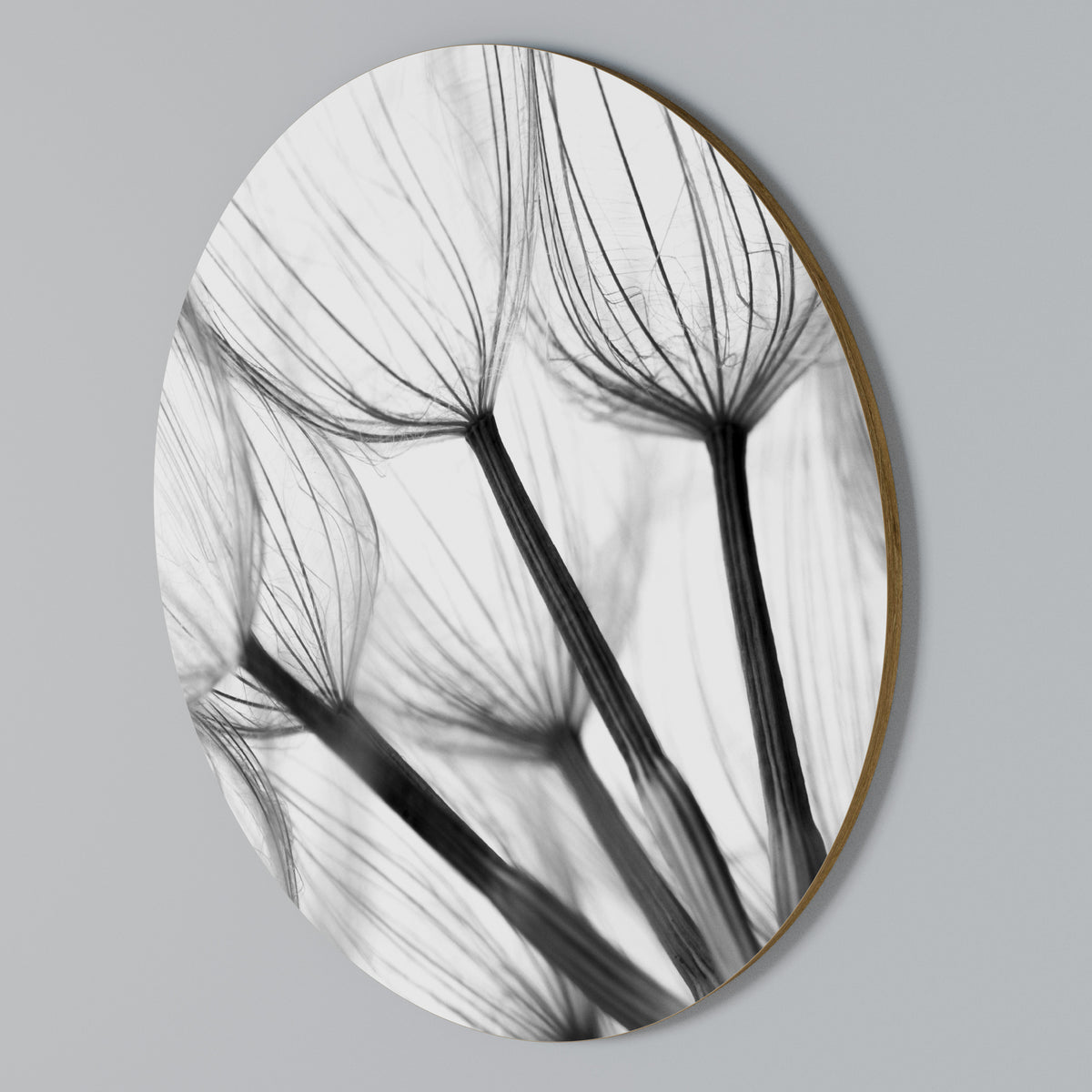 SILKEN FLIGHT Rundes Wandbild