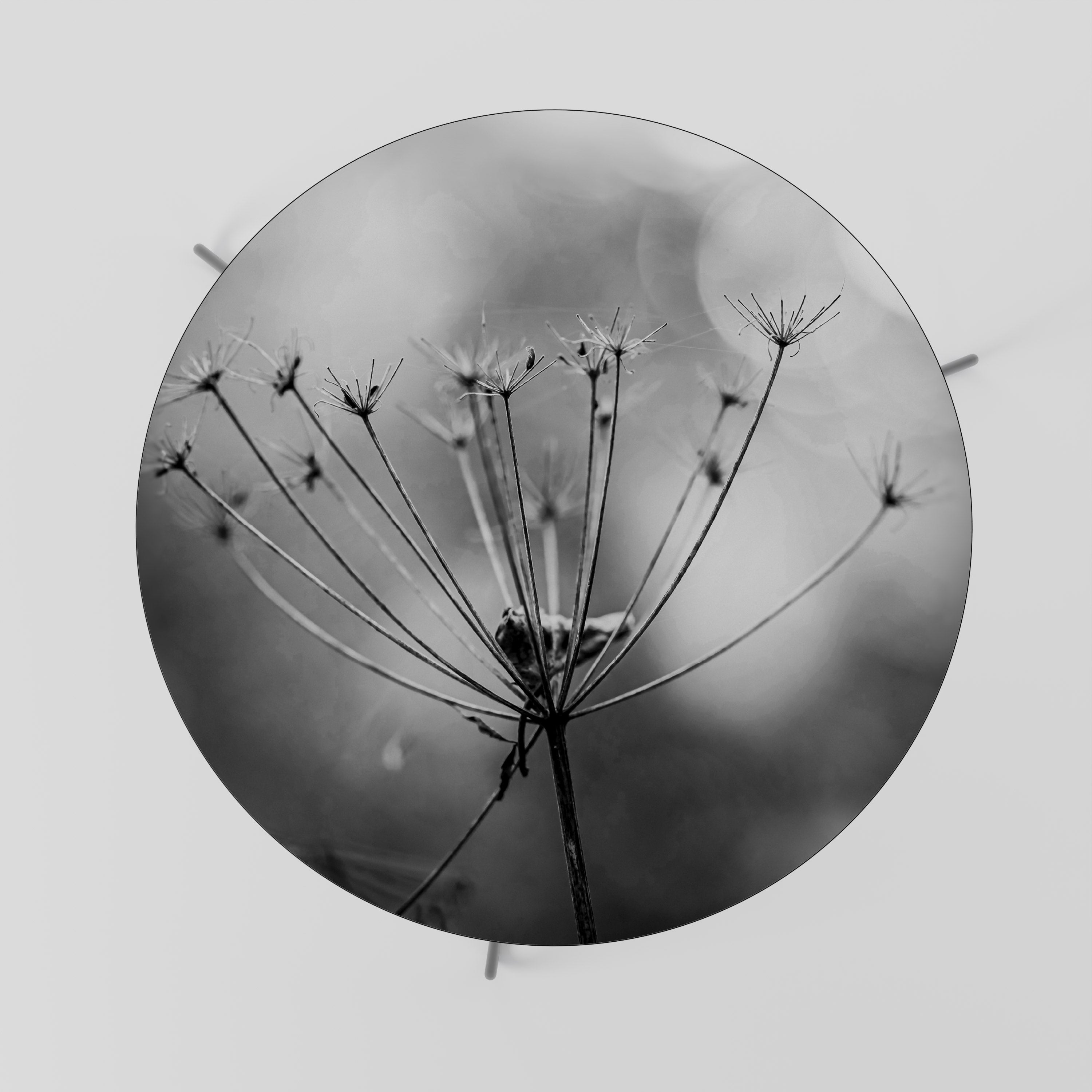 MINIMALIST BLOOM Τραπεζάκι σαλονιού