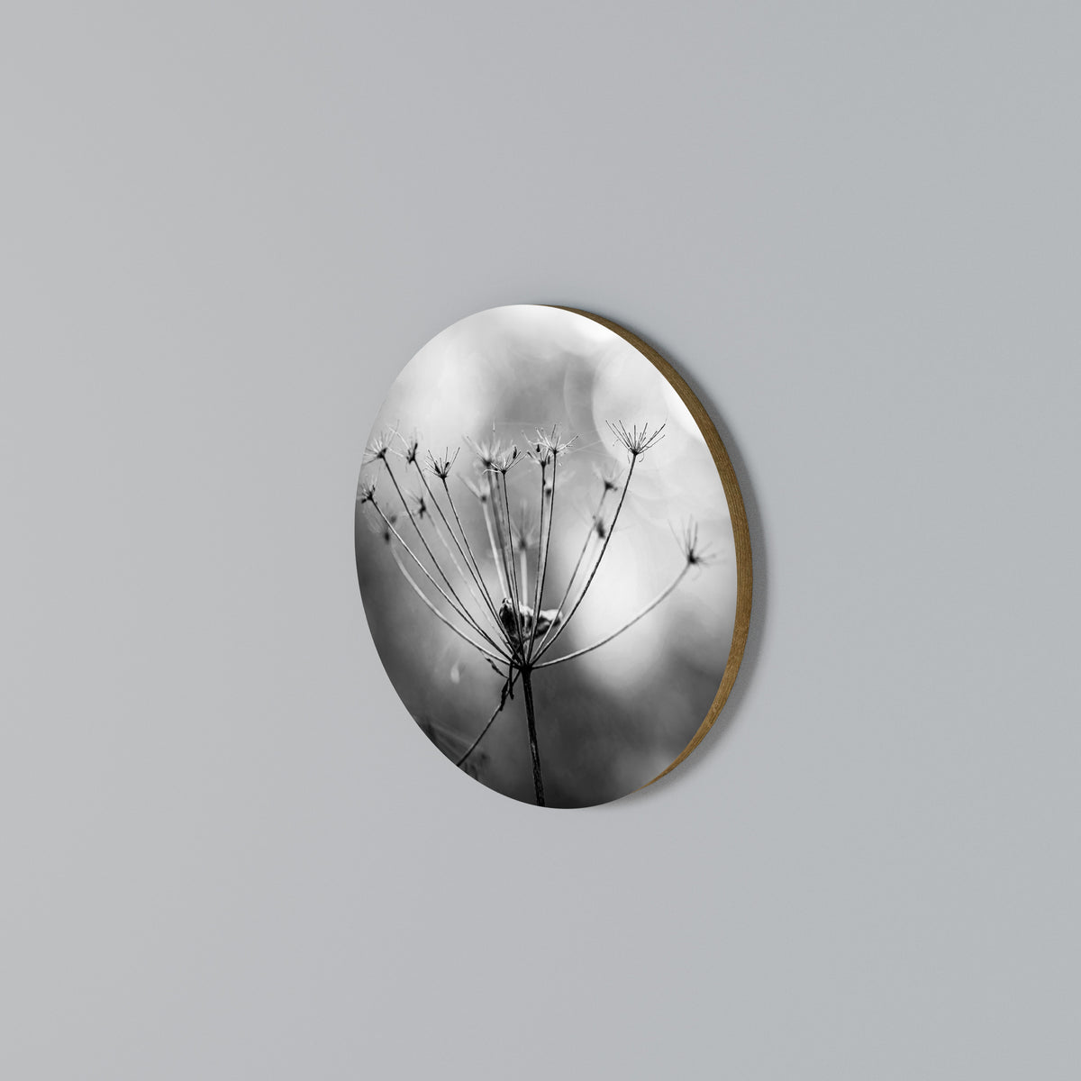 MINIMALIST BLOOM Στρογγυλός πίνακας ζωγραφικής
