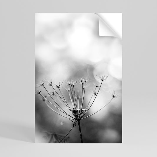MINIMALIST BLOOM Póster Autocolante Vertical