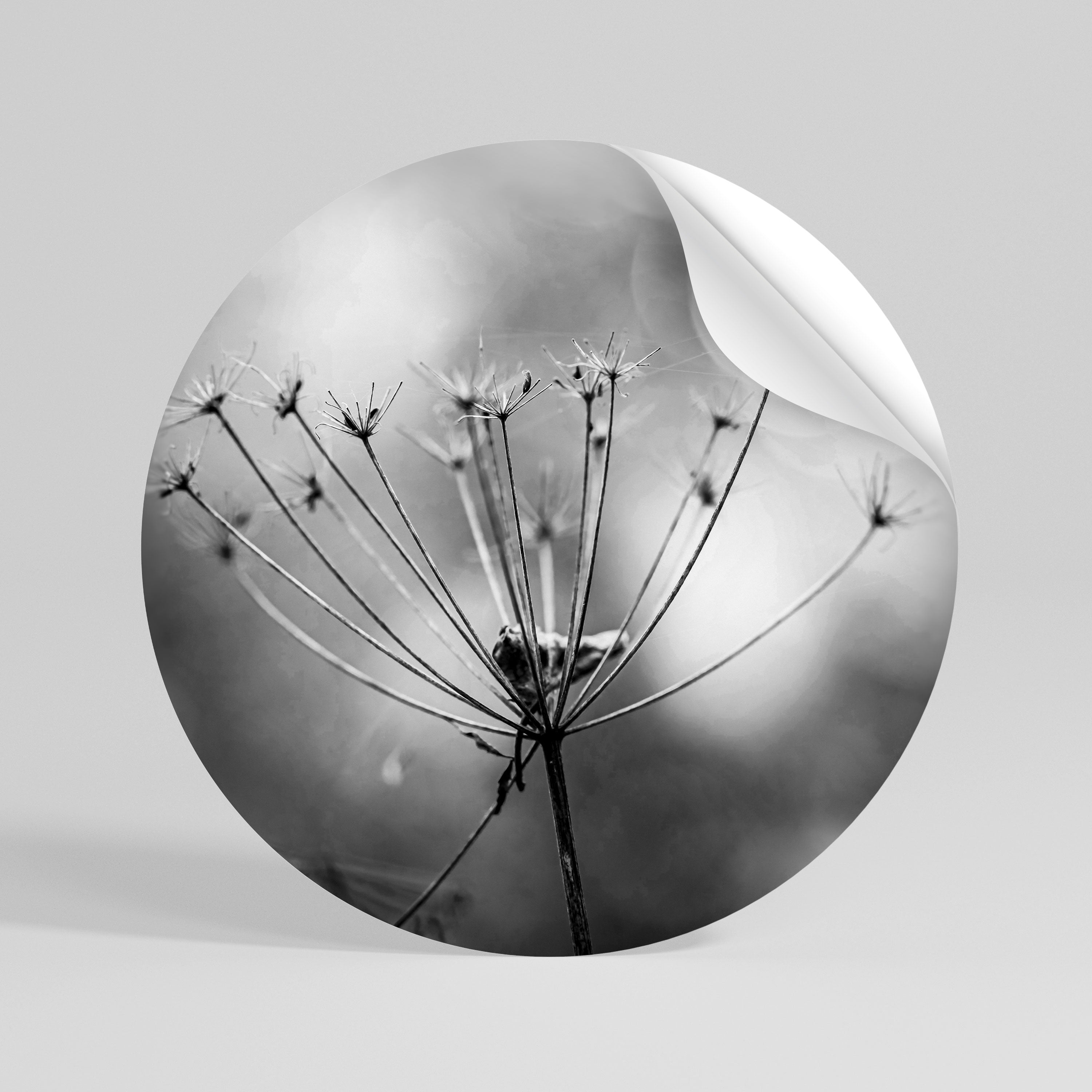 MINIMALIST BLOOM Rund väggdekal