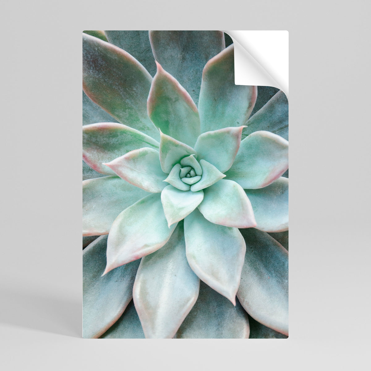 GEOMETRIC GARDEN MAGIC Póster adhesivo vertical