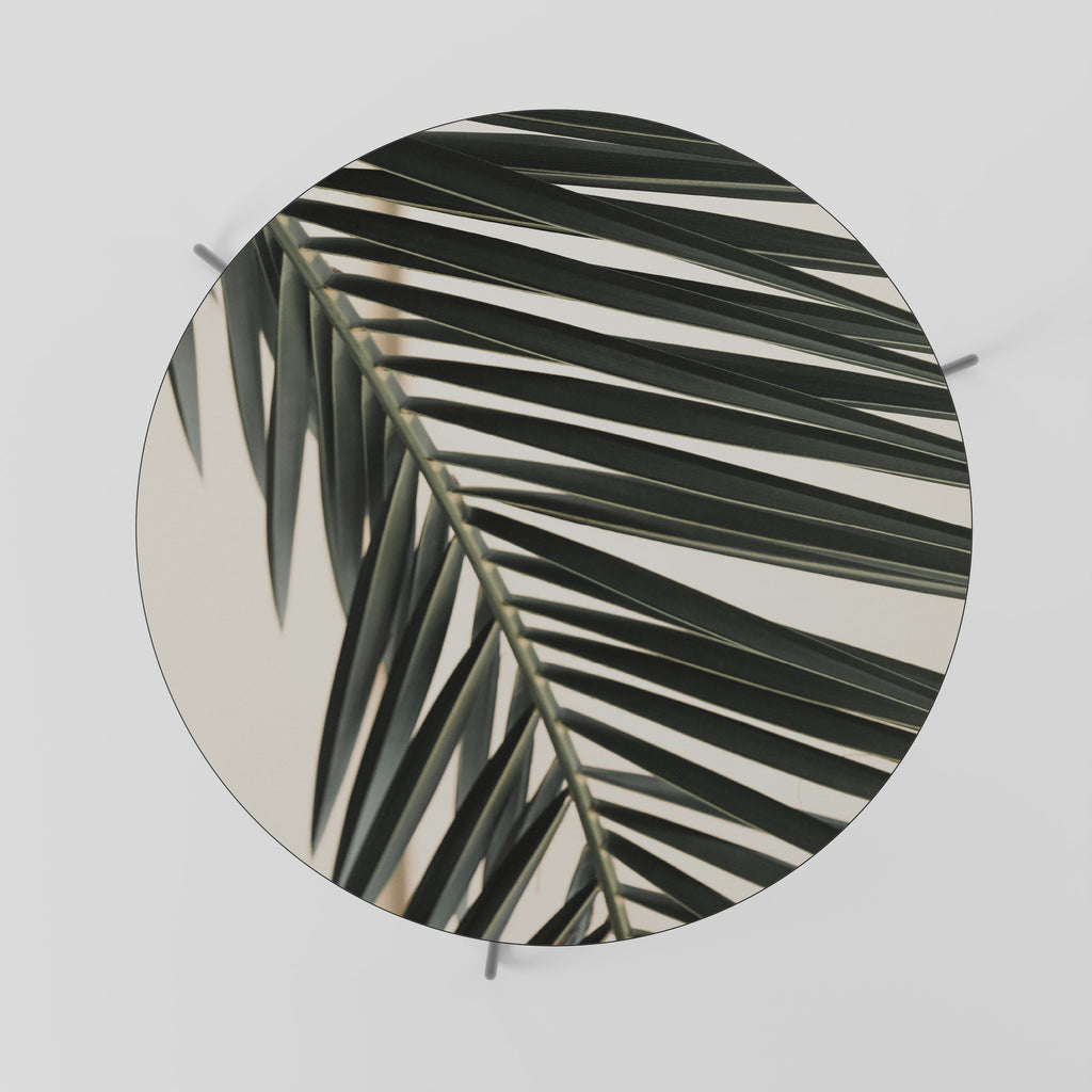 PALM SYMPHONY Mesa de centro