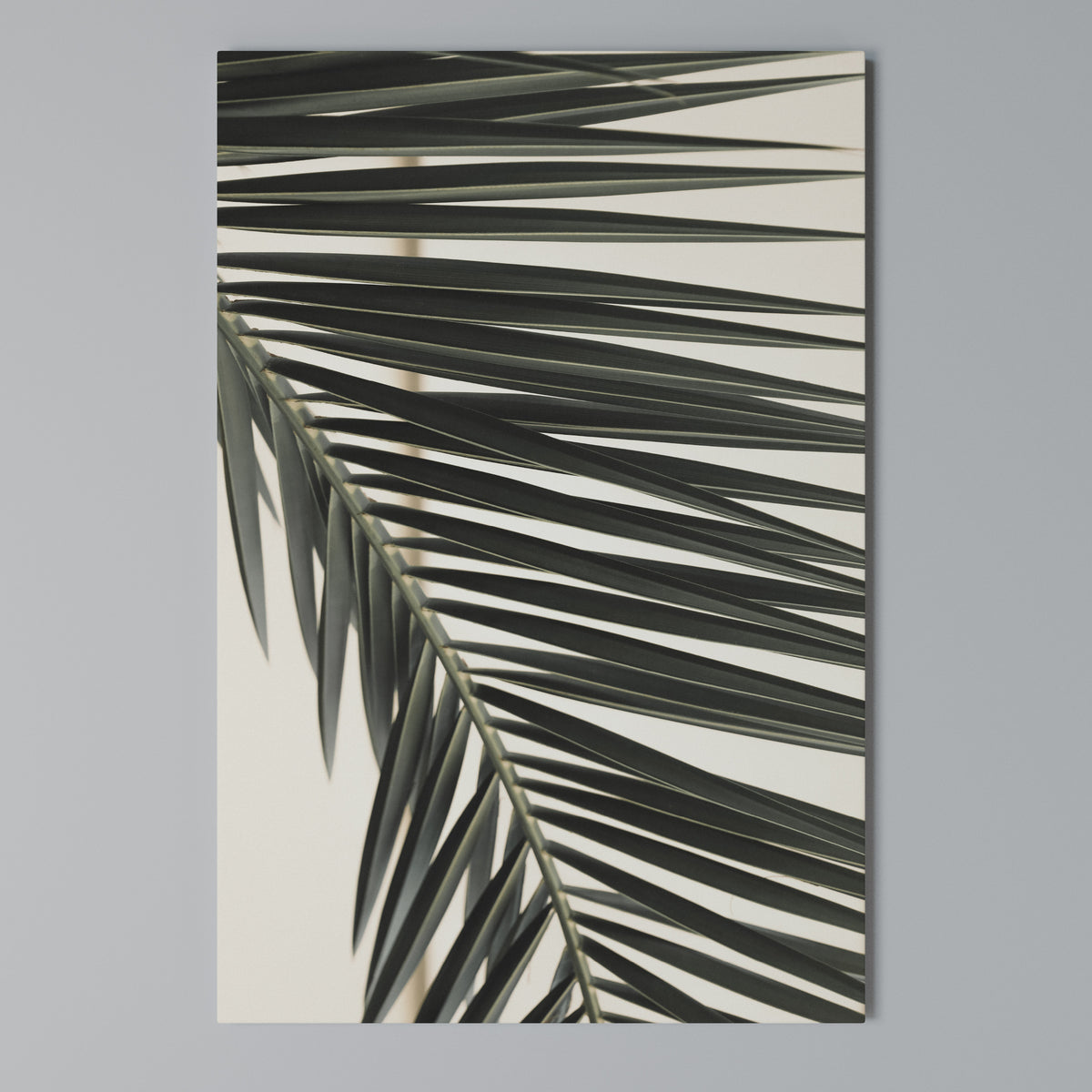 PALM SYMPHONY Κατακόρυφος Πίνακας σε Καμβά
