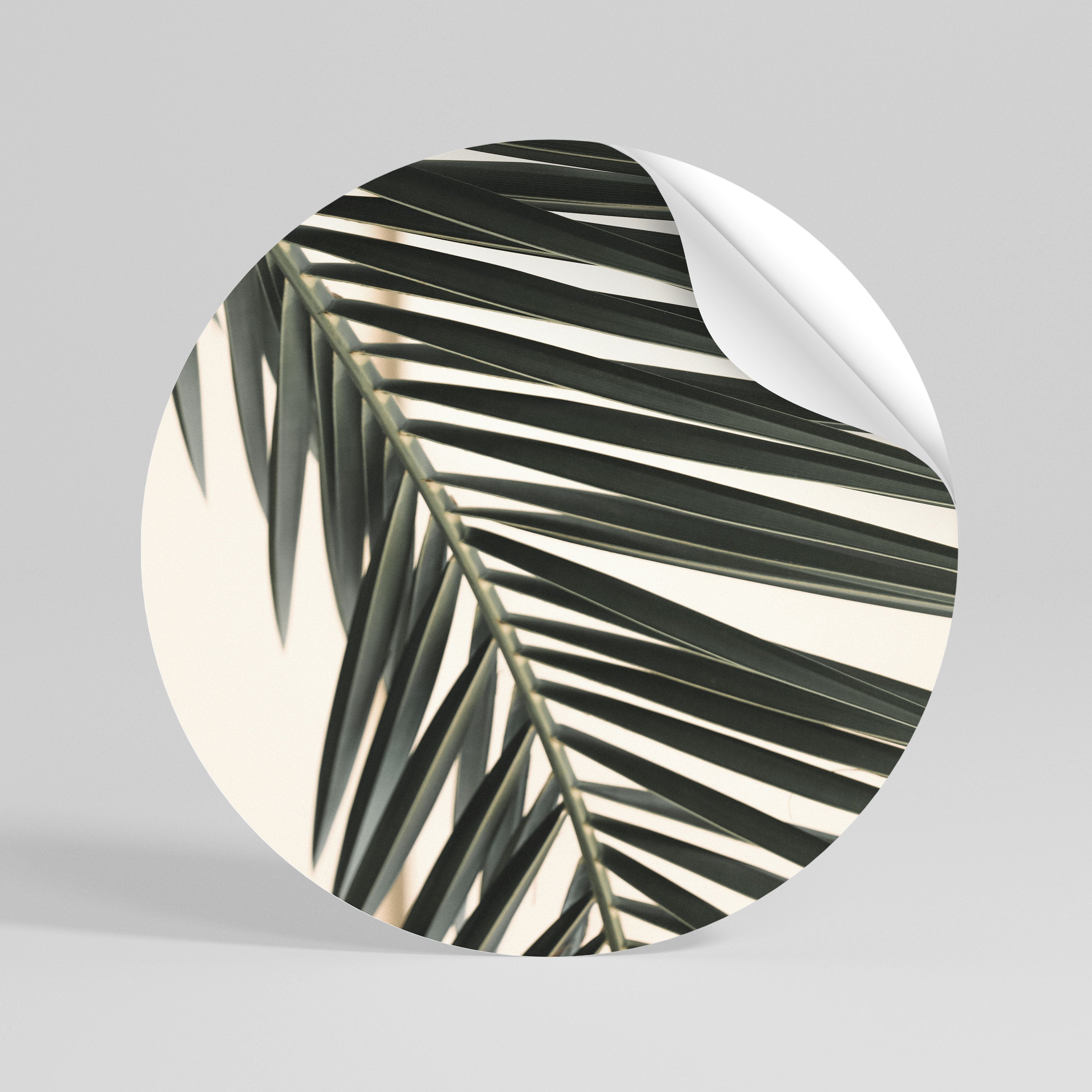 PALM SYMPHONY Rund väggdekal