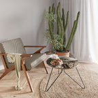 PALM SHADOW DANCE Konferenční stolek