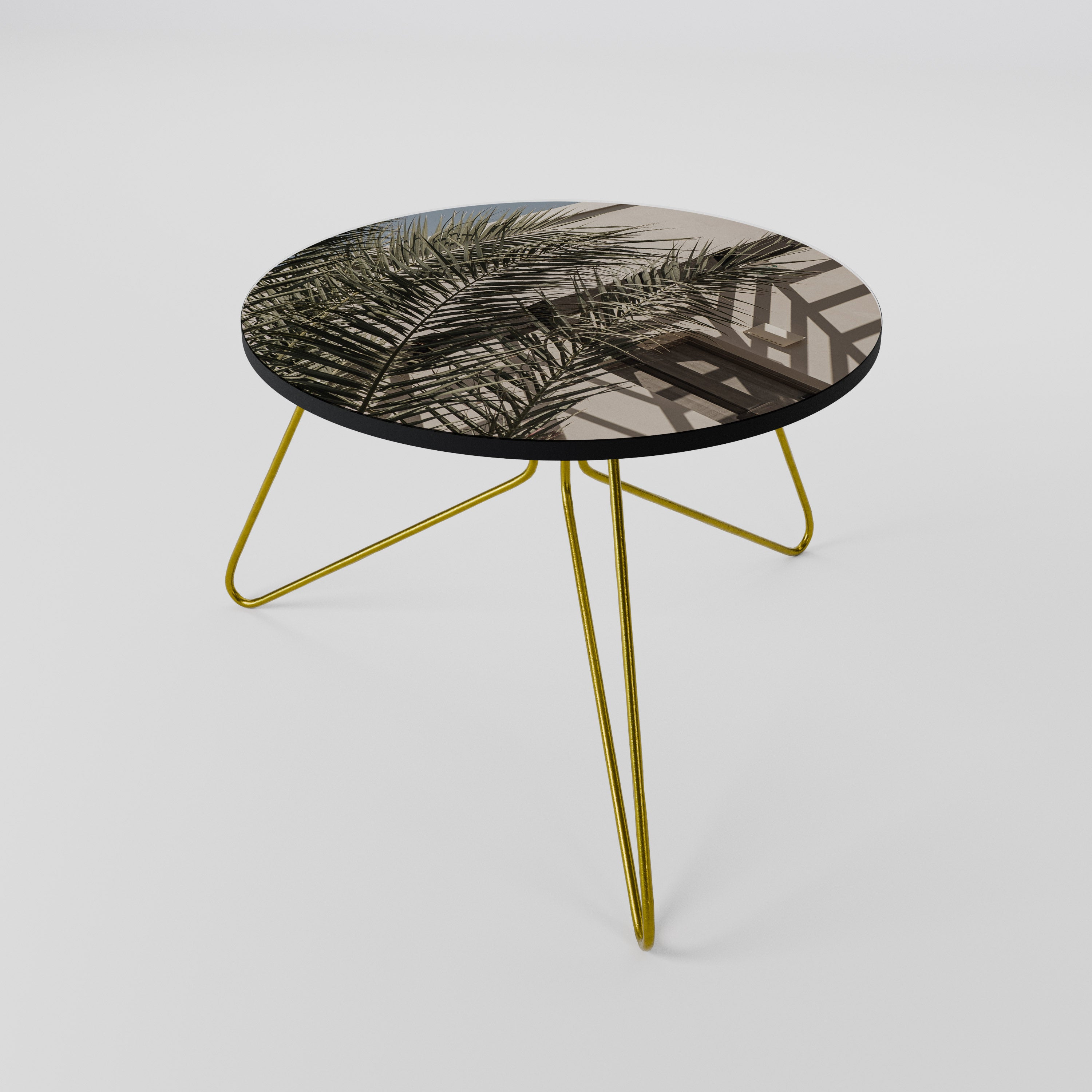 PALM SHADOW DANCE Konferenční stolek