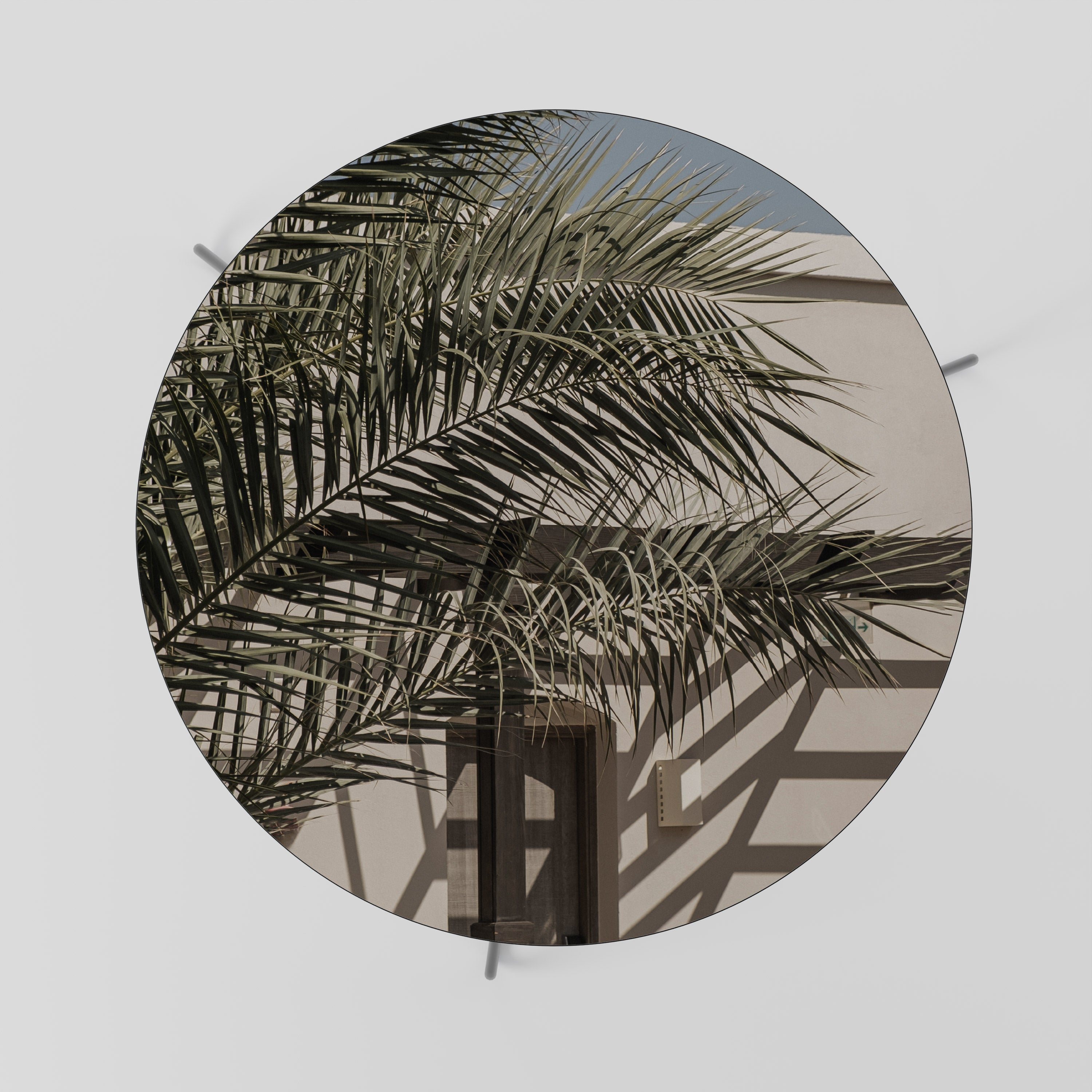 PALM SHADOW DANCE Konferenční stolek