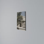 PALM SHADOW DANCE Vertical Canvas Print