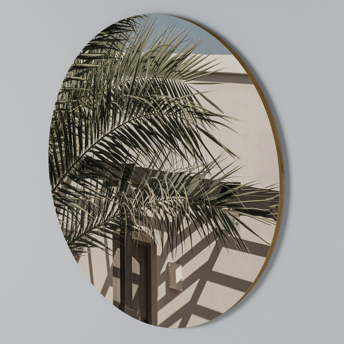 PALM SHADOW DANCE Round Wall Art