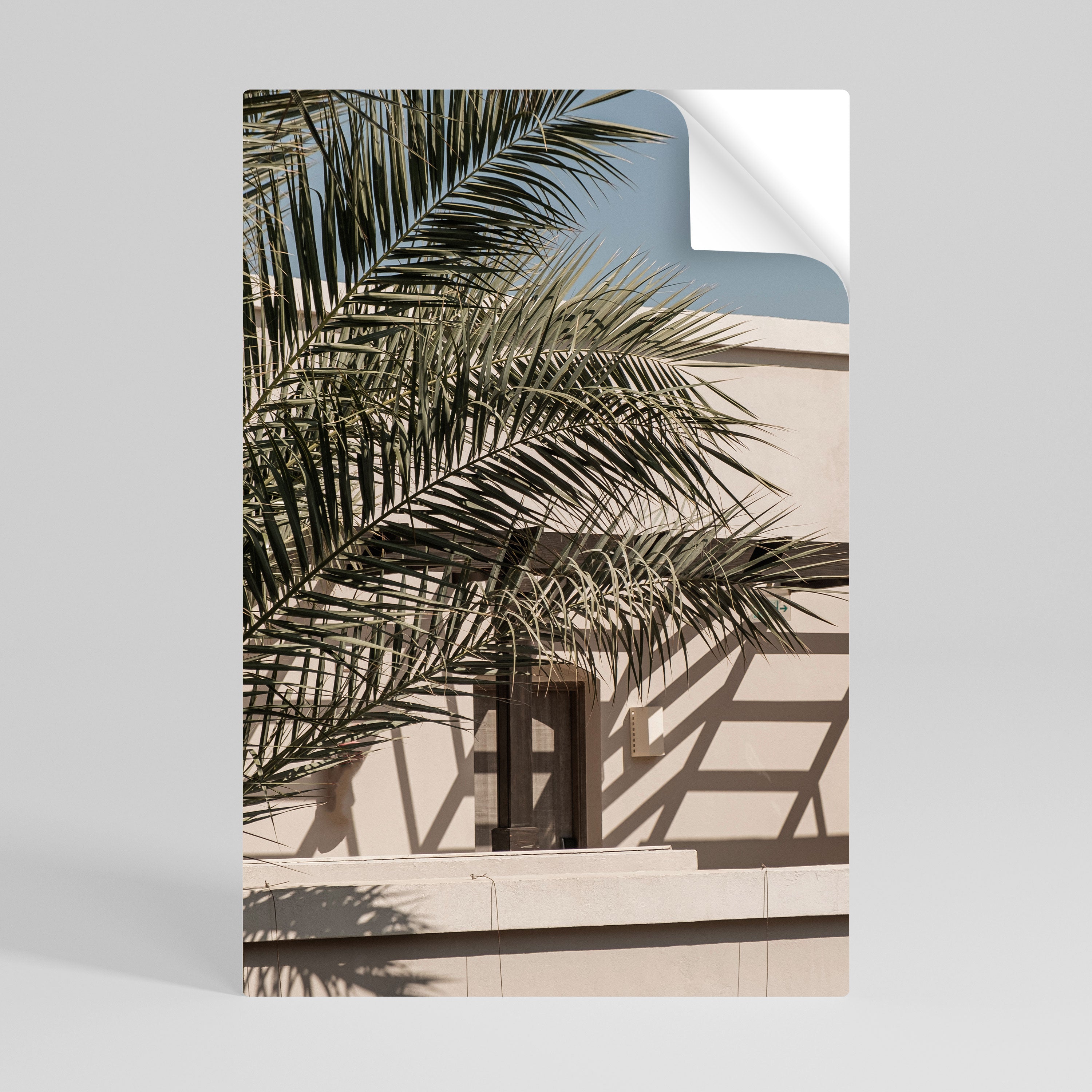 PALM SHADOW DANCE Självhäftande Vertikal Poster
