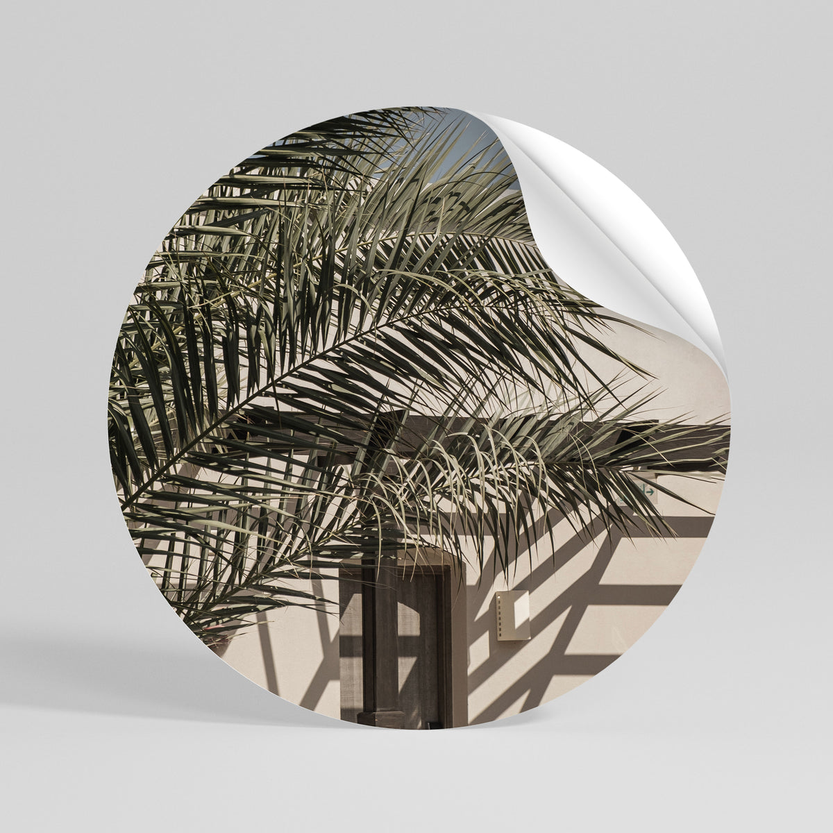 PALM SHADOW DANCE Runder Wandsticker zum Abziehen und Aufkleben