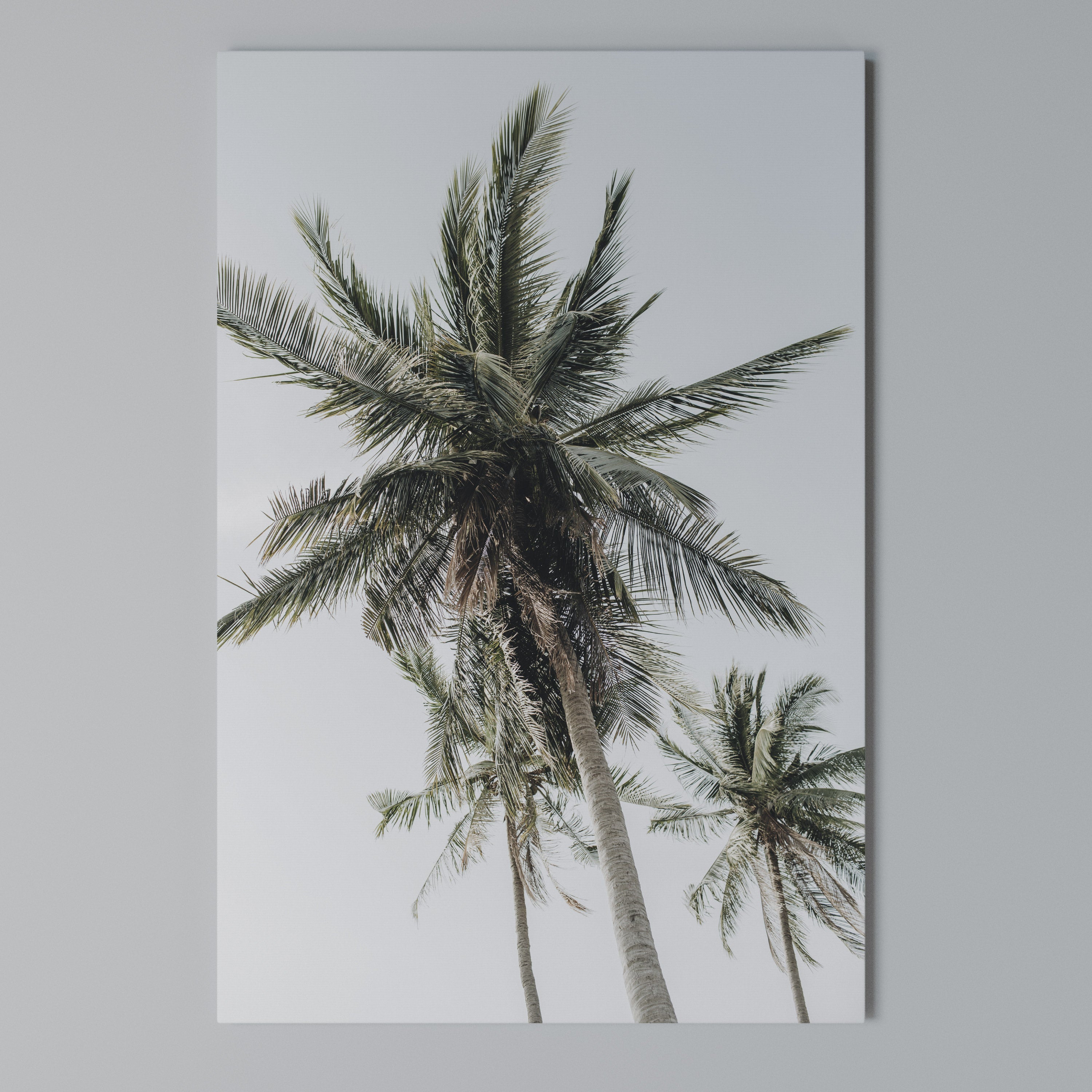 PALM PARADISE SIGHT Vertical Canvas Print