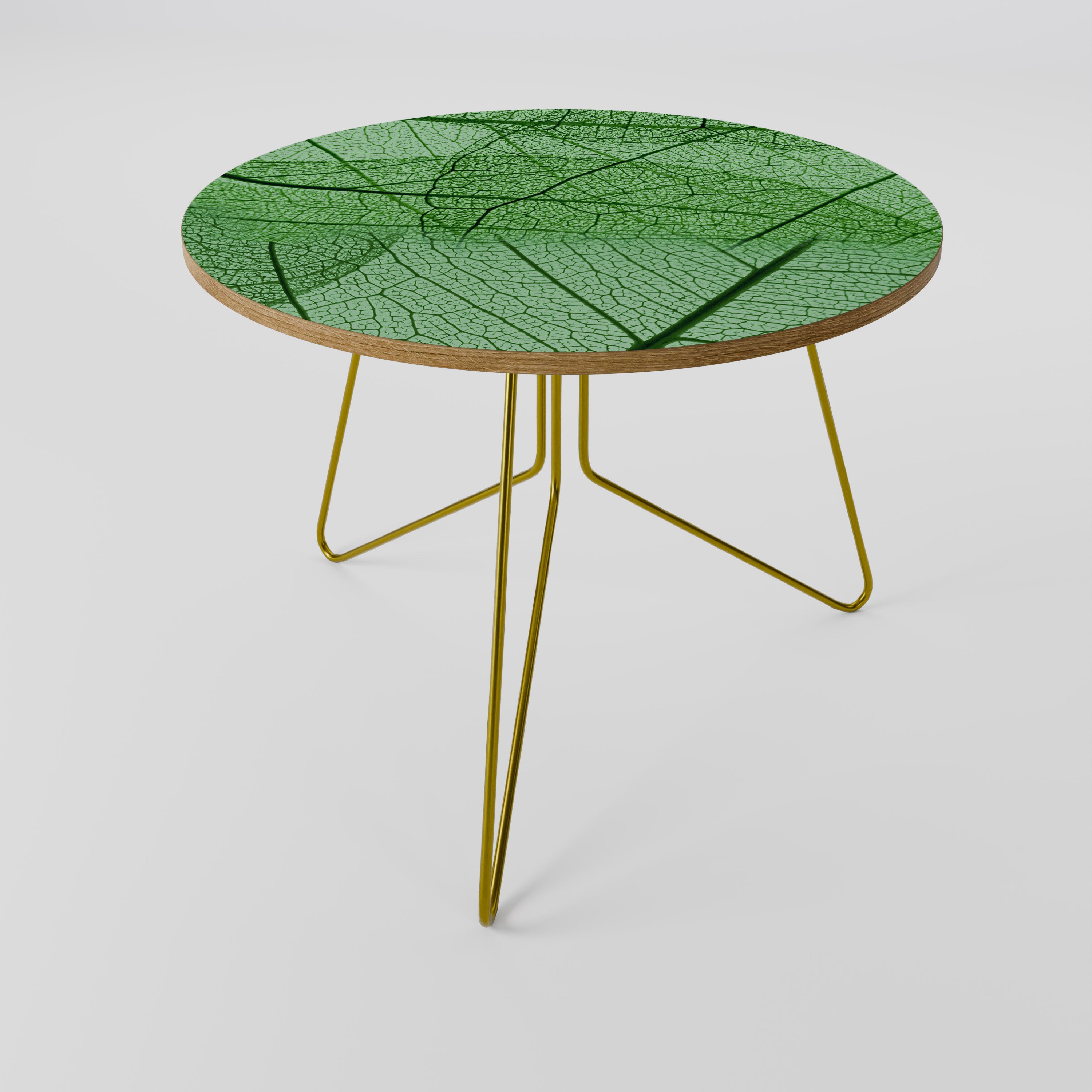 VEINS OF LIFE Konferenční stolek