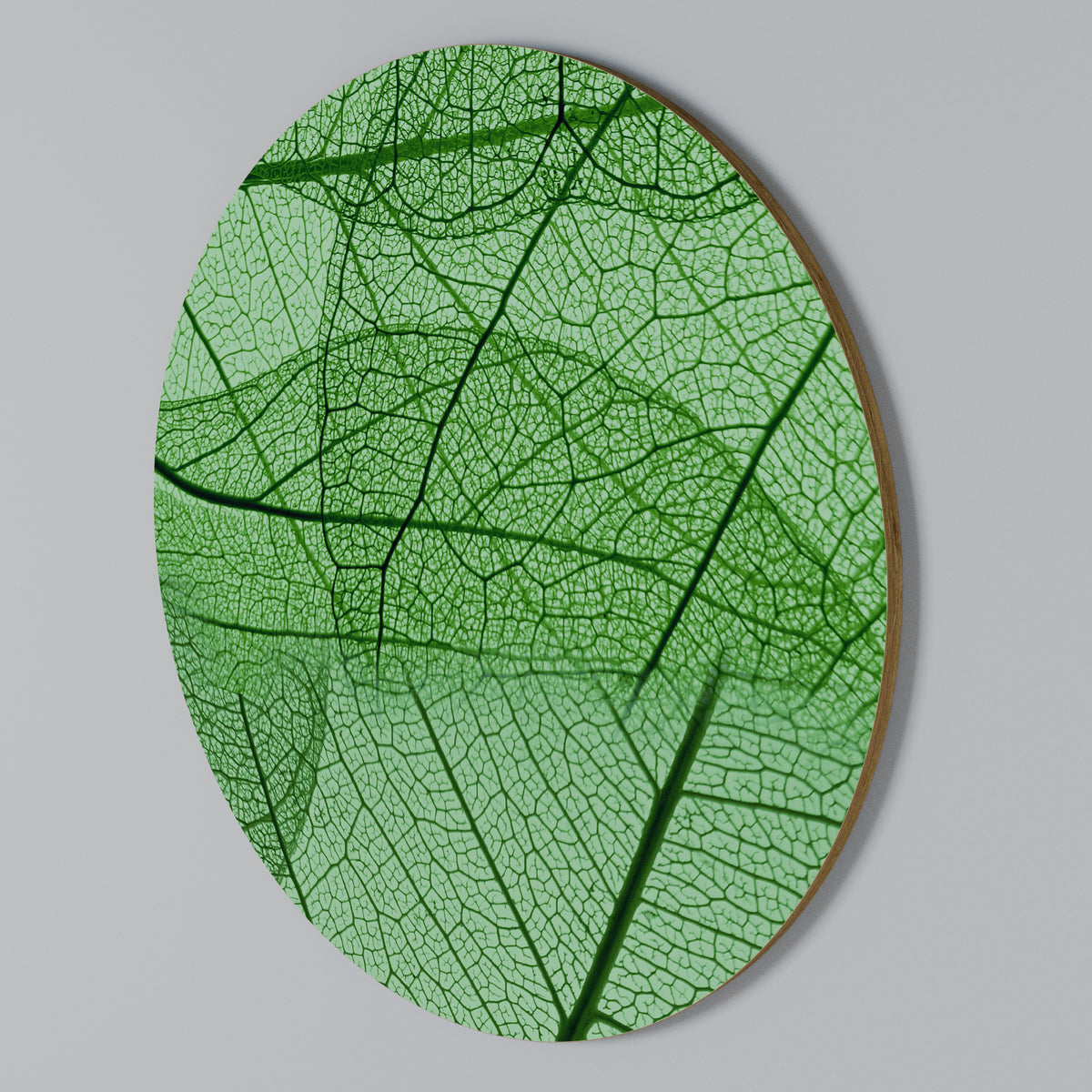 VEINS OF LIFE Rundes Wandbild