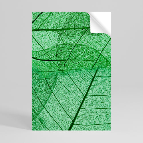 VEINS OF LIFE Självhäftande Vertikal Poster