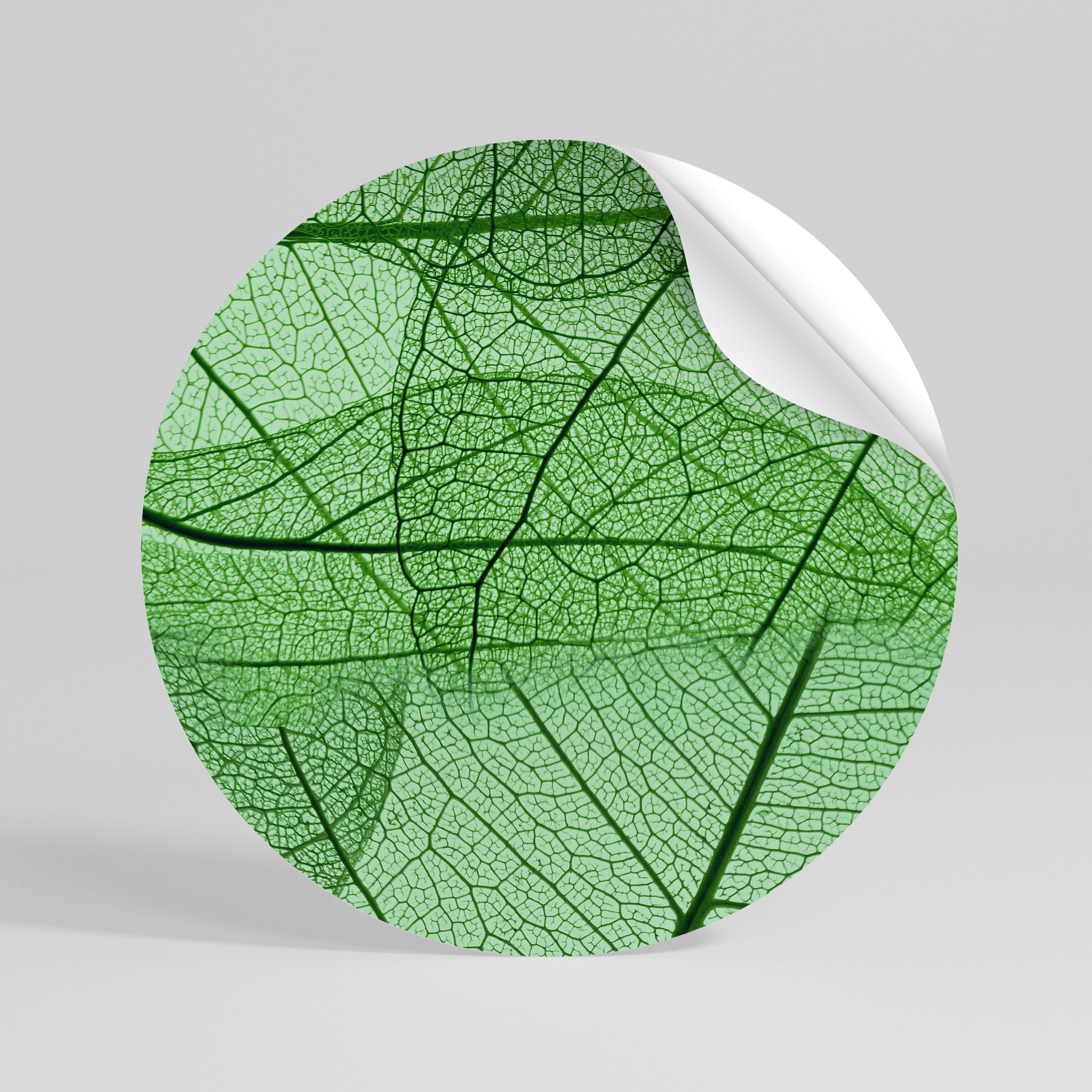 VEINS OF LIFE Rund väggdekal