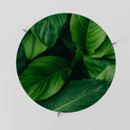 VIBRANT LEAFY EMBRACE Konferenční stolek
