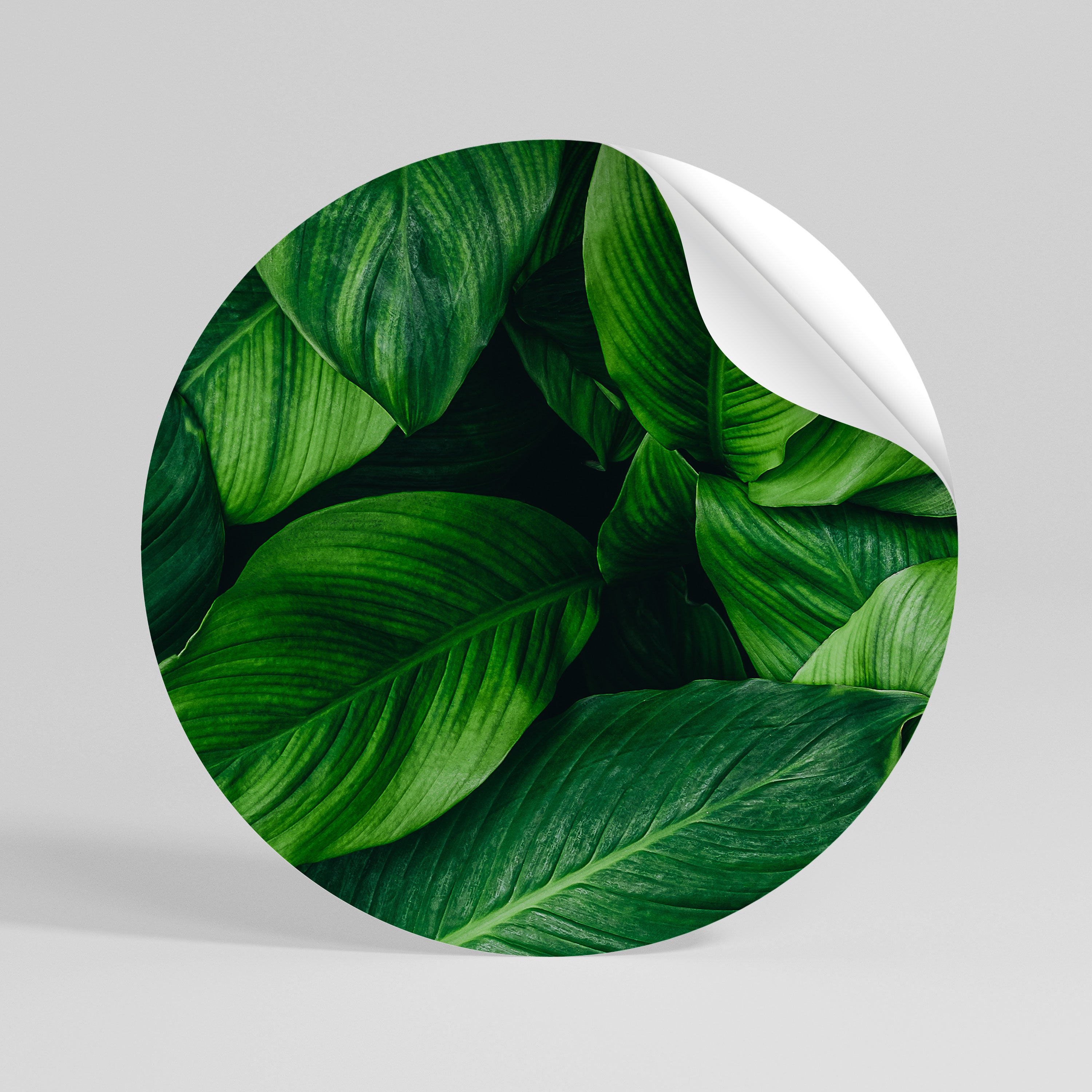 VIBRANT LEAFY EMBRACE Rund väggdekal