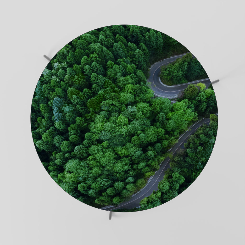 ENCHANTED FOREST RIDE Mesa de Centro