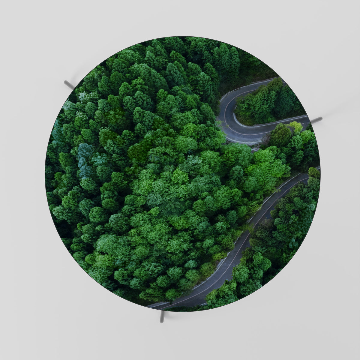 ENCHANTED FOREST RIDE Couchtisch