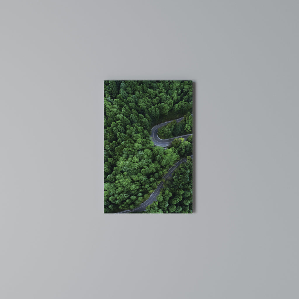 ENCHANTED FOREST RIDE Vertical Canvas Print