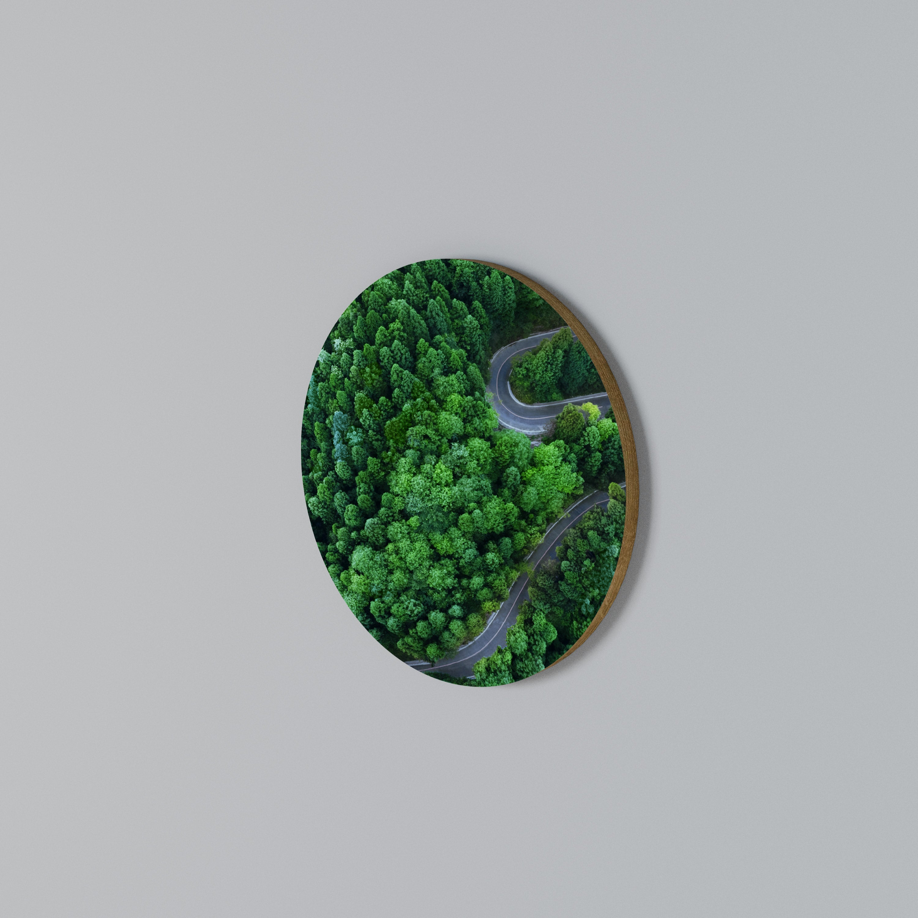 ENCHANTED FOREST RIDE Arte de pared redondo