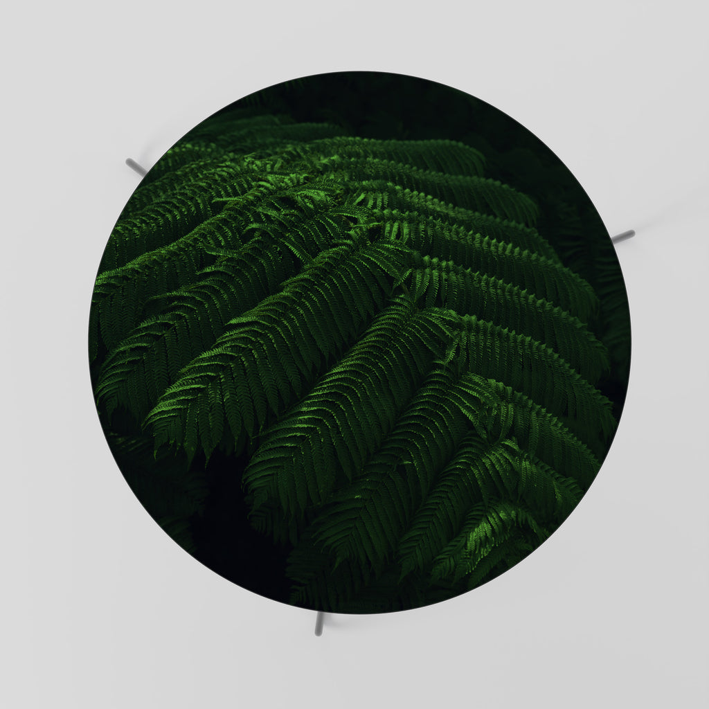 FERN FANTASY Soffbord