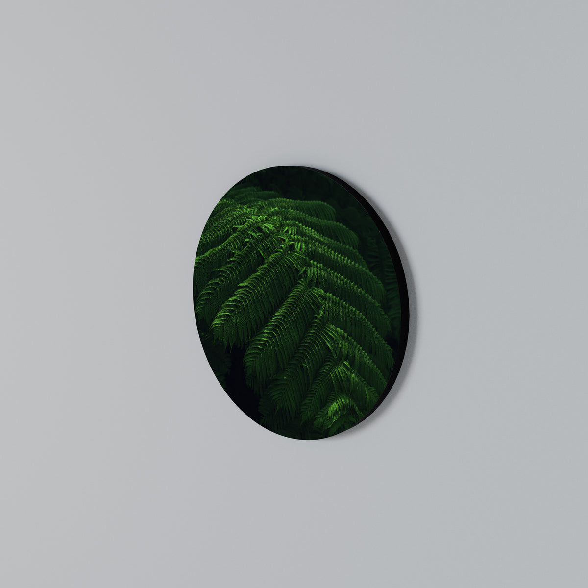FERN FANTASY Arte de Parede Redonda