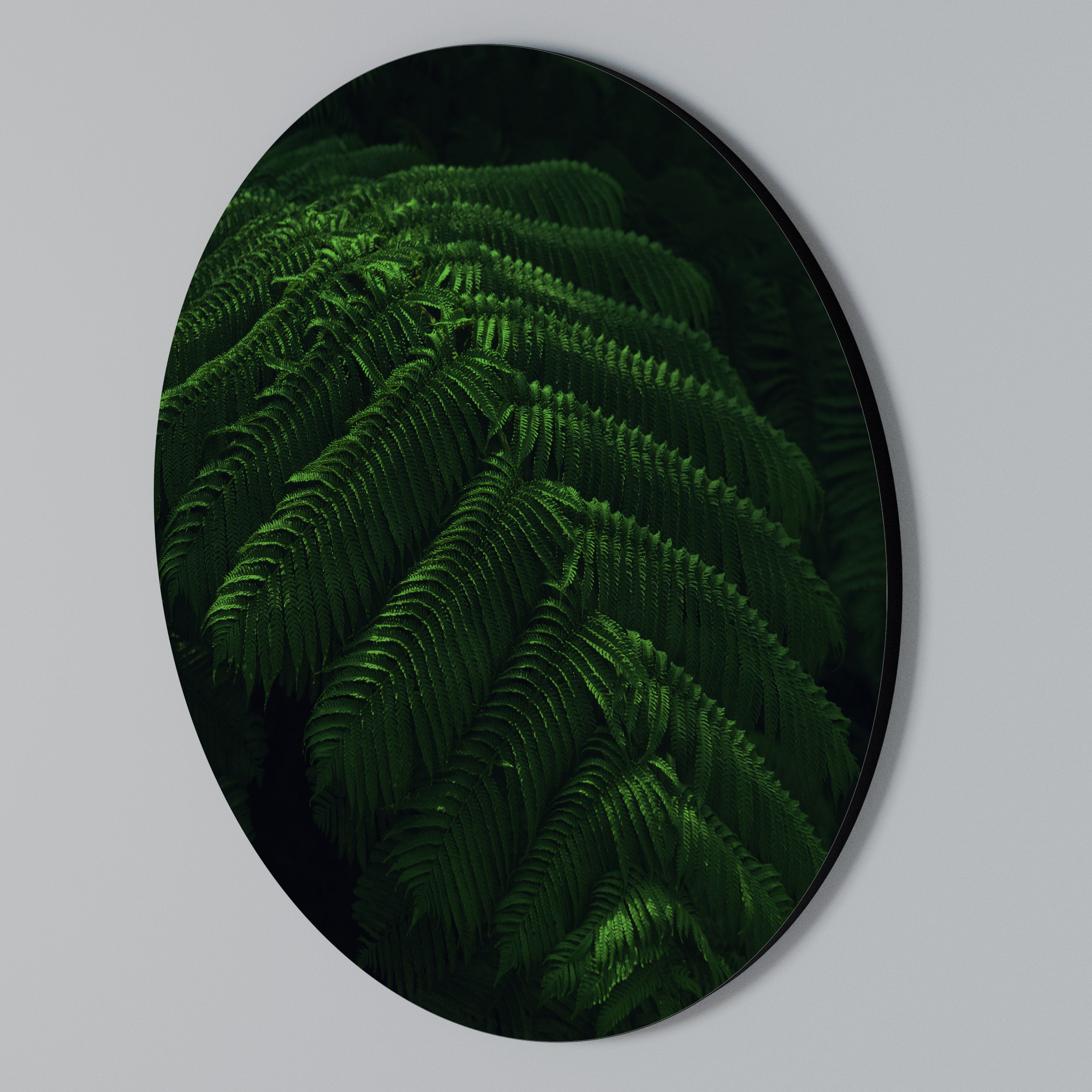 FERN FANTASY Arte de pared redondo