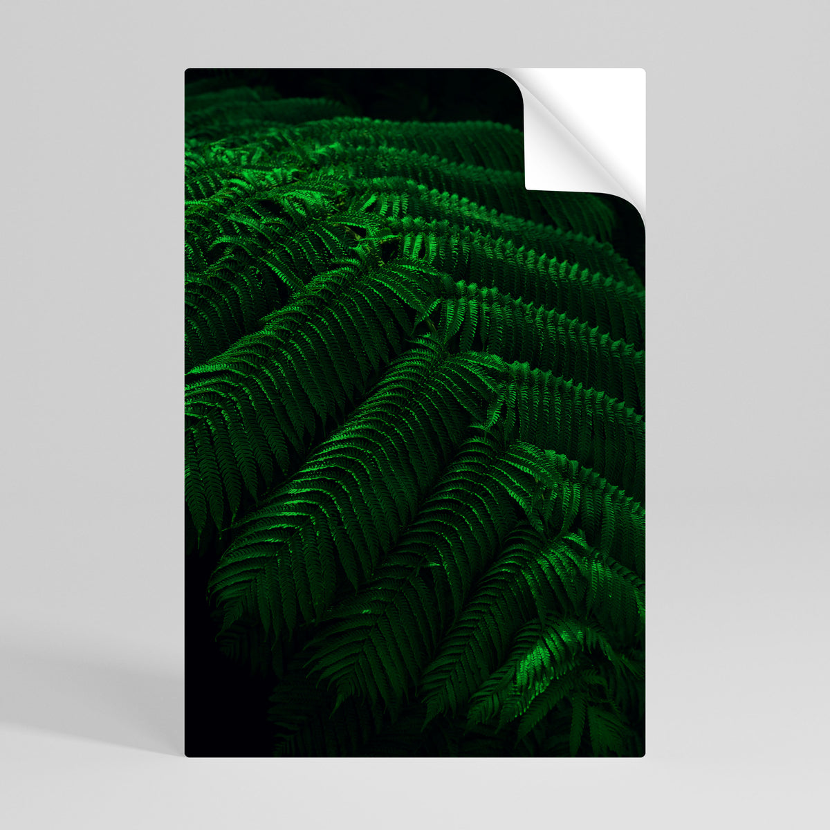 FERN FANTASY Poster Verticale Adesivo