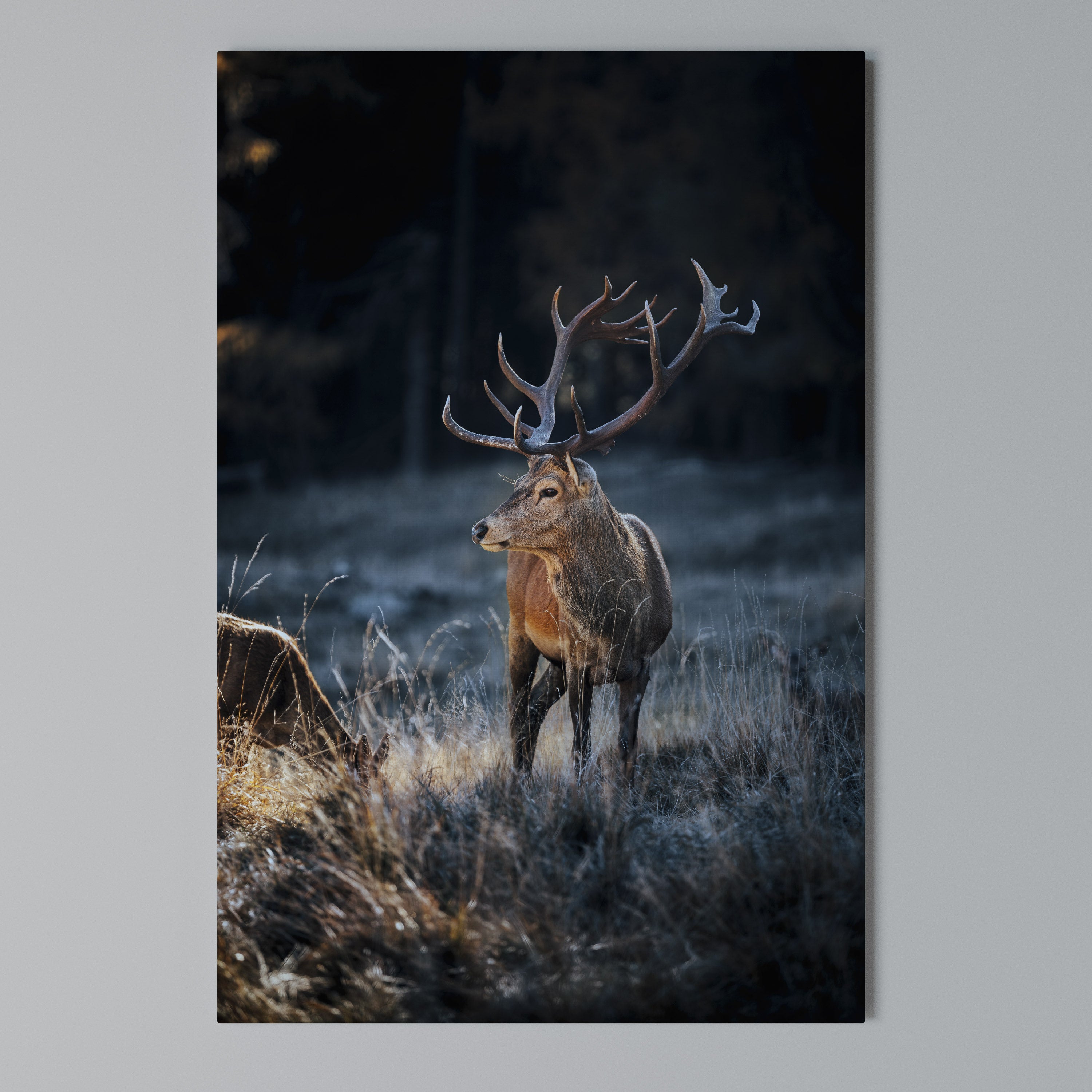 ANTLERED REGALITY Vertical Canvas Print