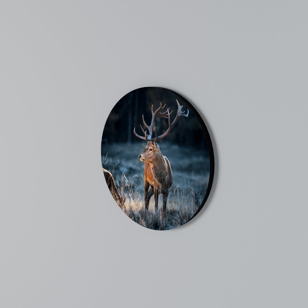 ANTLERED REGALITY Rundes Wandbild