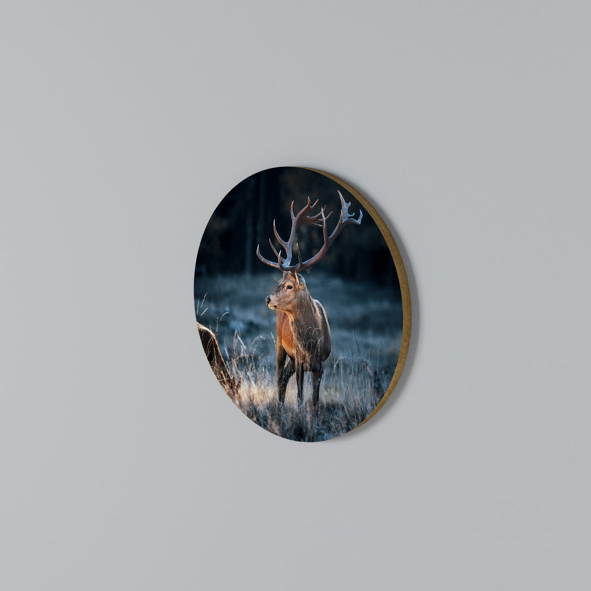 ANTLERED REGALITY Rundes Wandbild