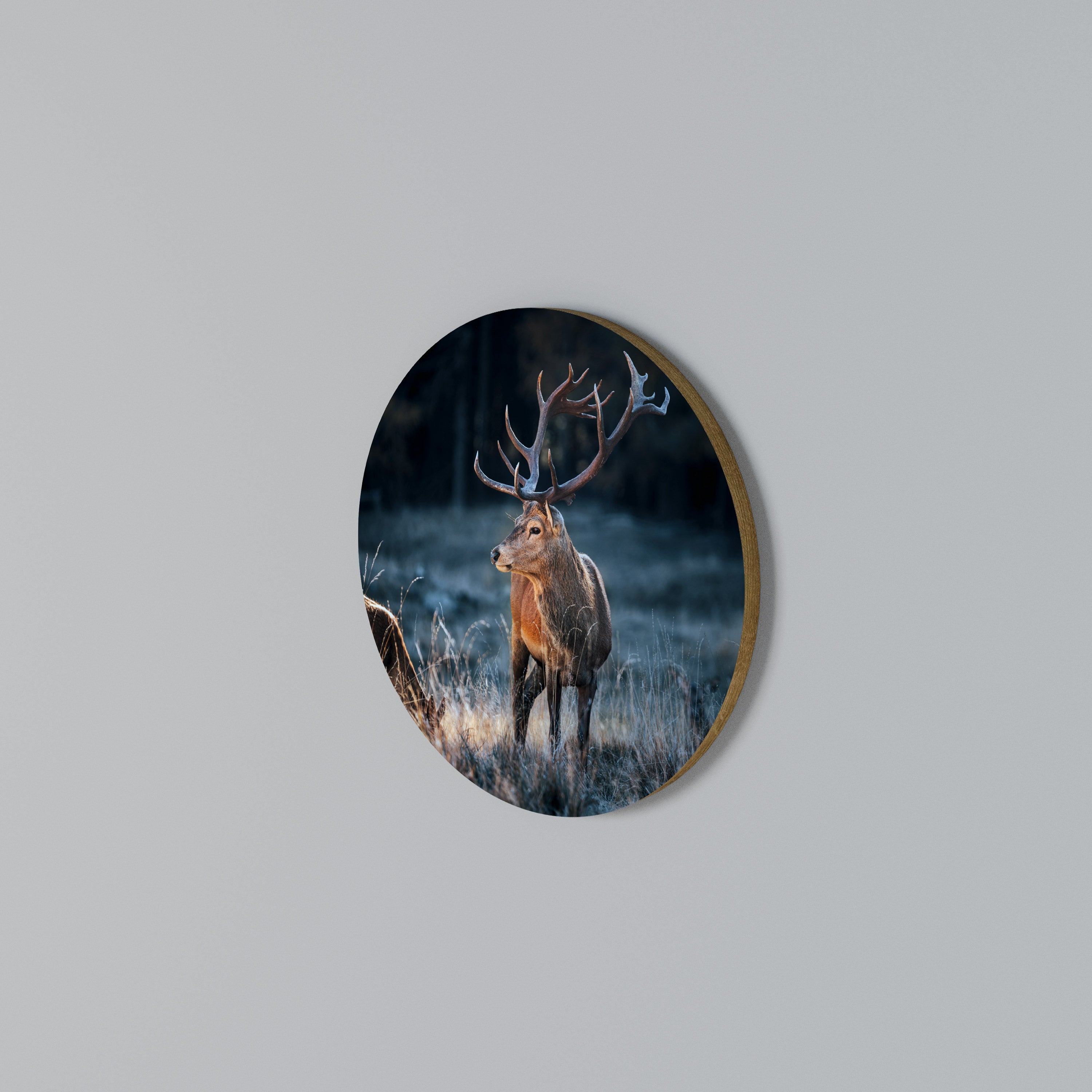 ANTLERED REGALITY Arte de pared redondo
