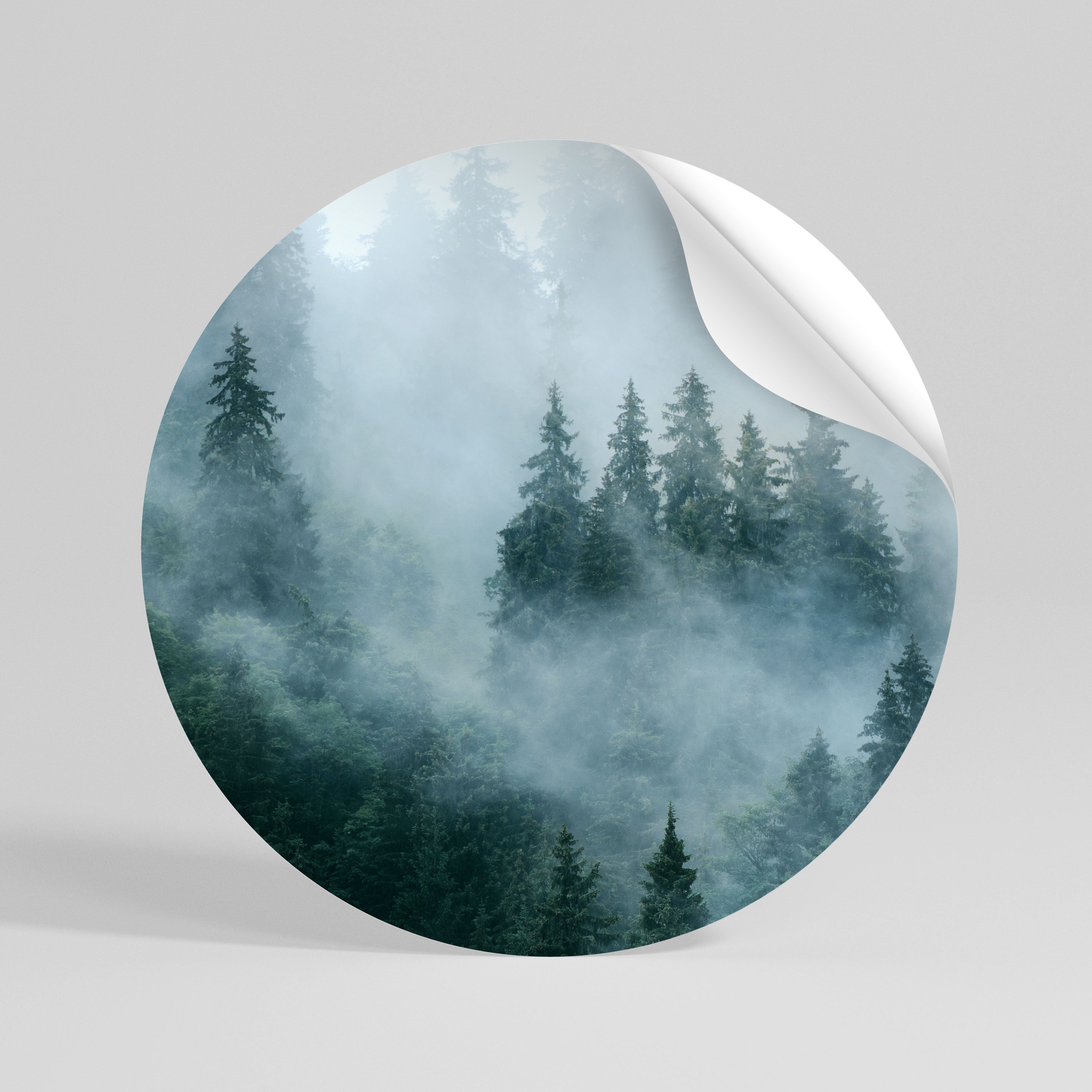 VEIL OF MIST Rund väggdekal