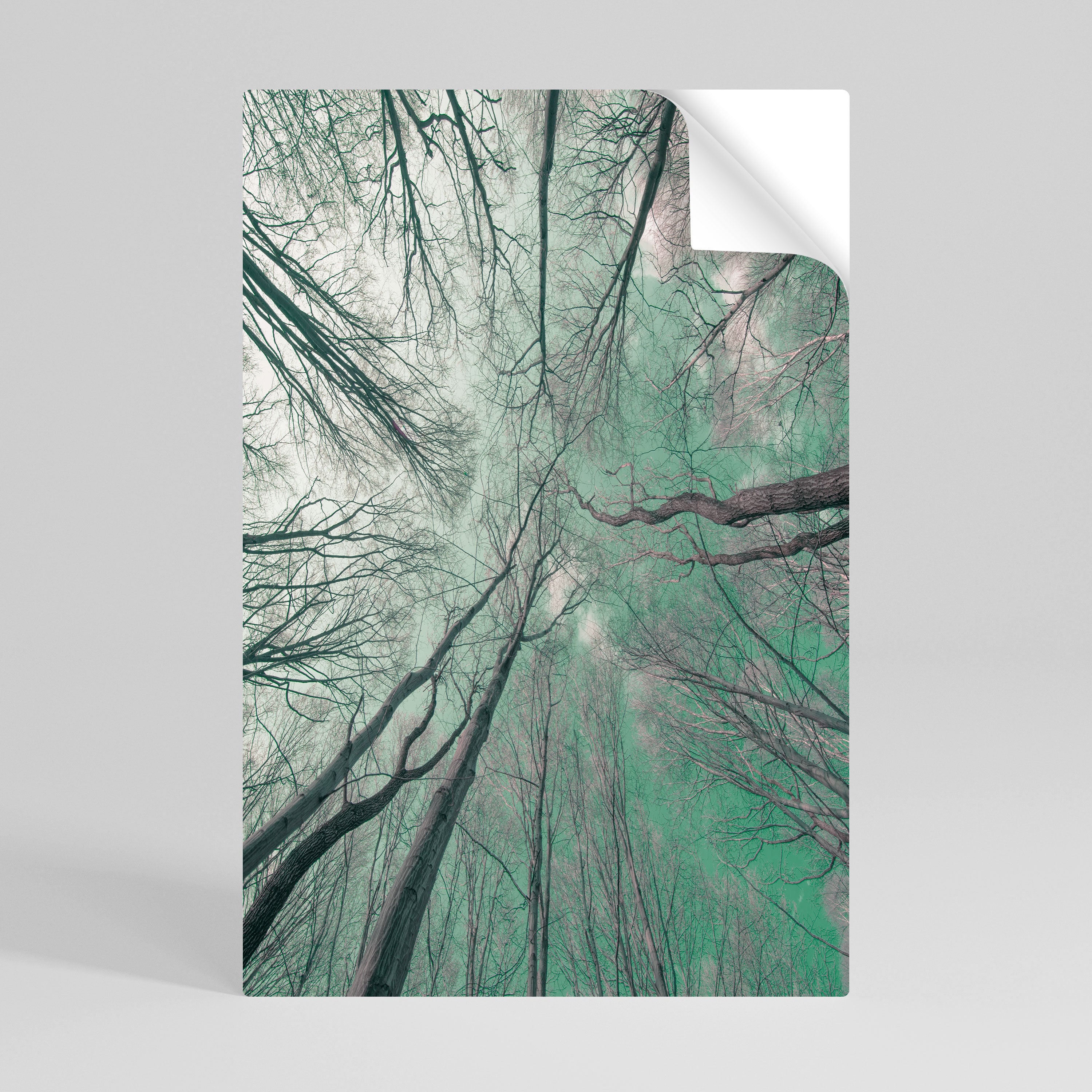 SKYWARD FANTASIES Självhäftande Vertikal Poster