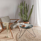 WHISPERING PATHWAYS Soffbord