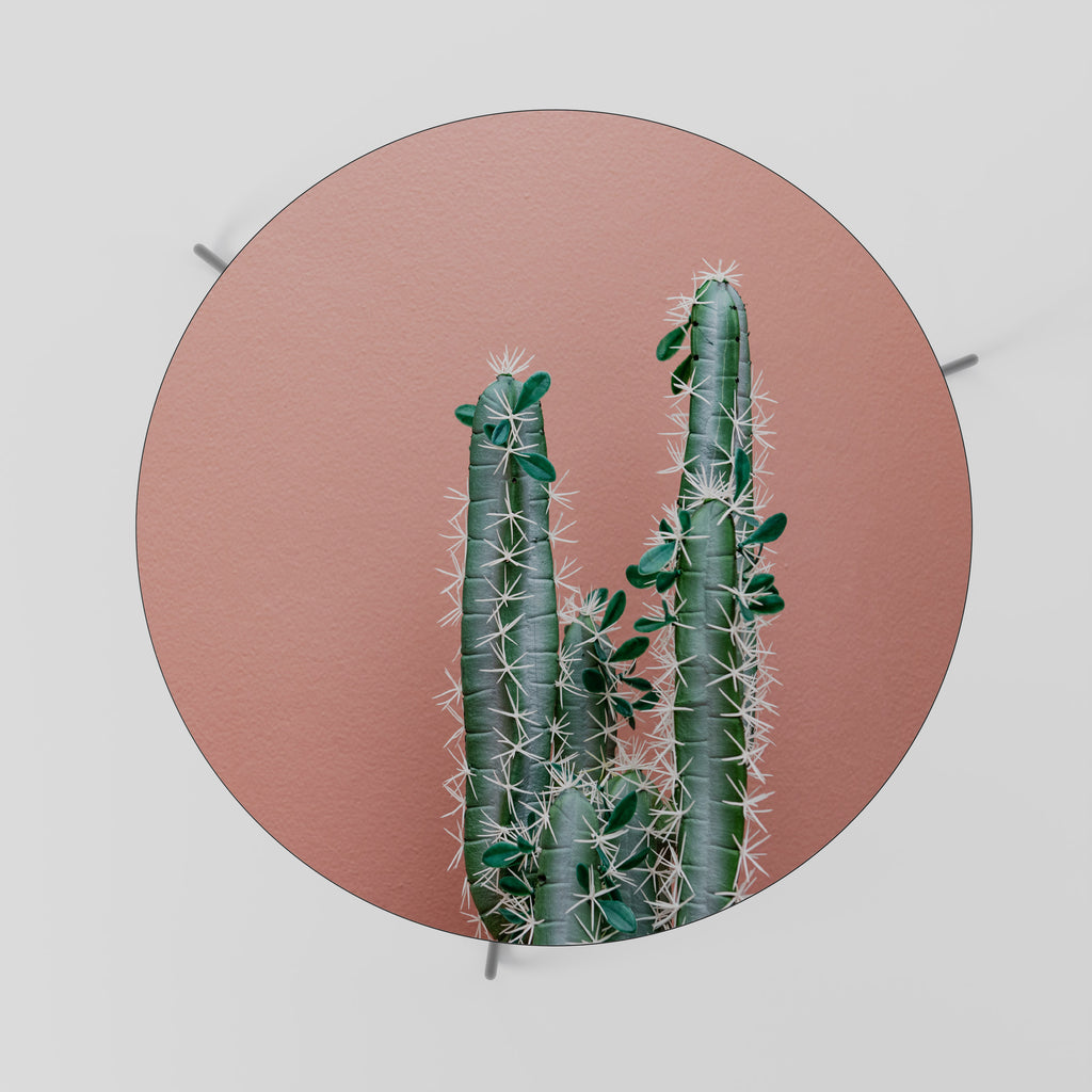 LORD CACTUS Konferenční stolek