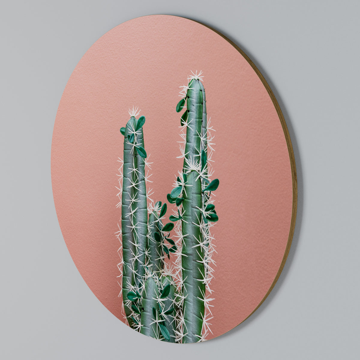 LORD CACTUS Round Wall Art