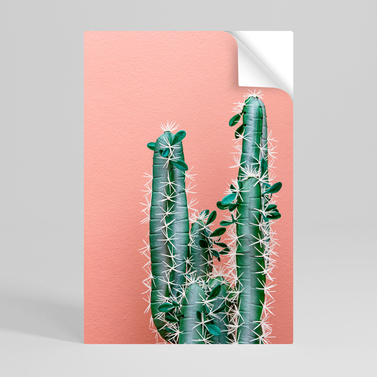 LORD CACTUS Póster adhesivo vertical