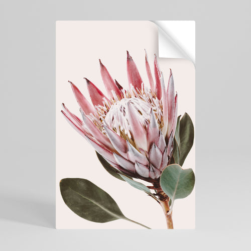 PROTEA FLOWER Självhäftande Vertikal Poster