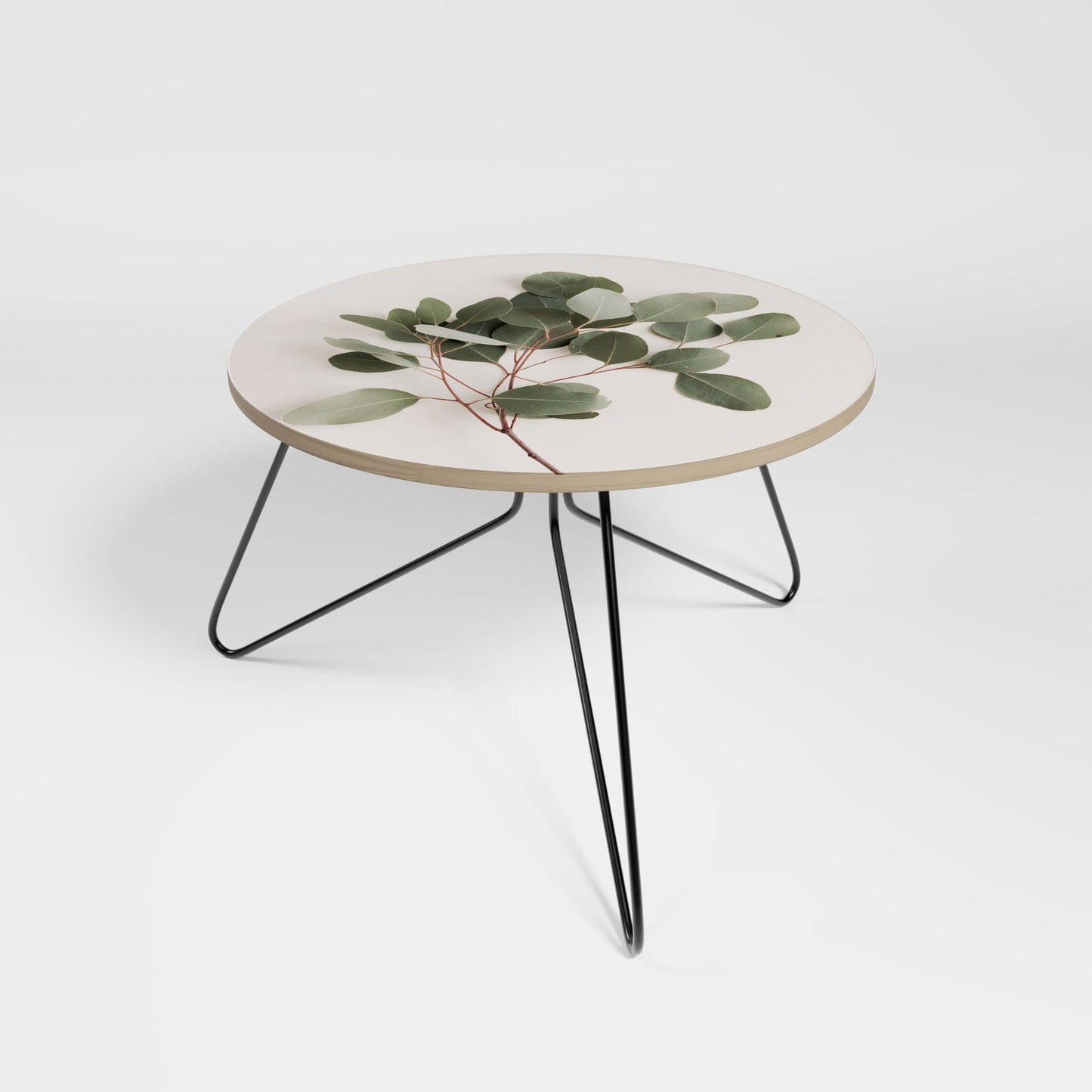 Petite table basse BRANCHE D'EUCALYPTUS