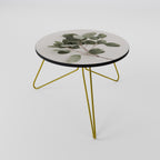 EUCALYPTUS BRANCH Konferenční stolek