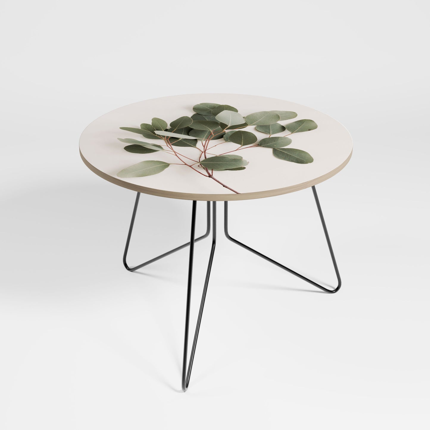 Grande table basse BRANCHE D'EUCALYPTUS