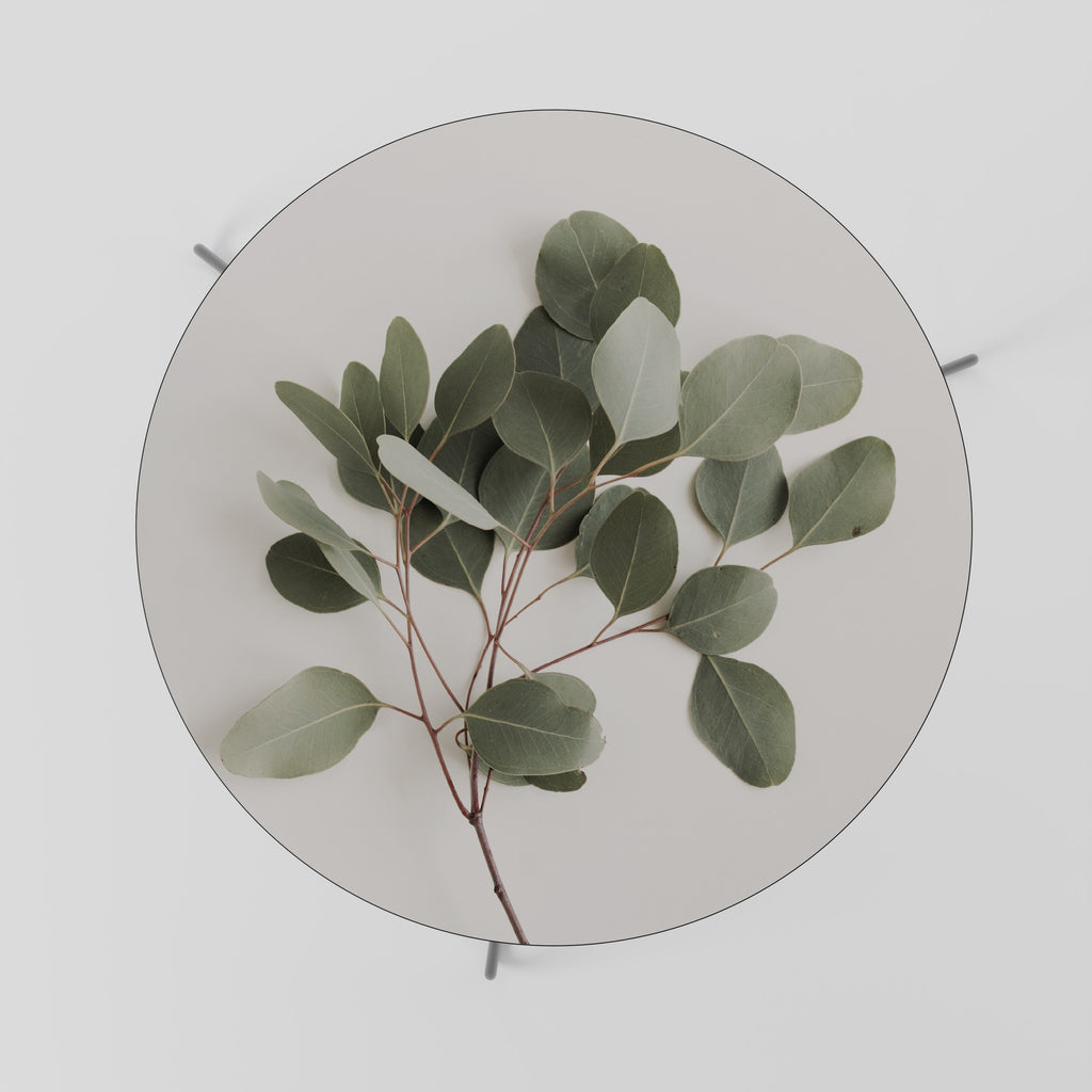 EUCALYPTUS BRANCH Konferenční stolek