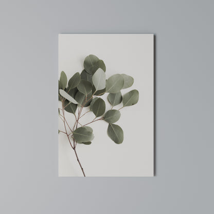 EUCALYPTUS BRANCH Stampa su tela verticale
