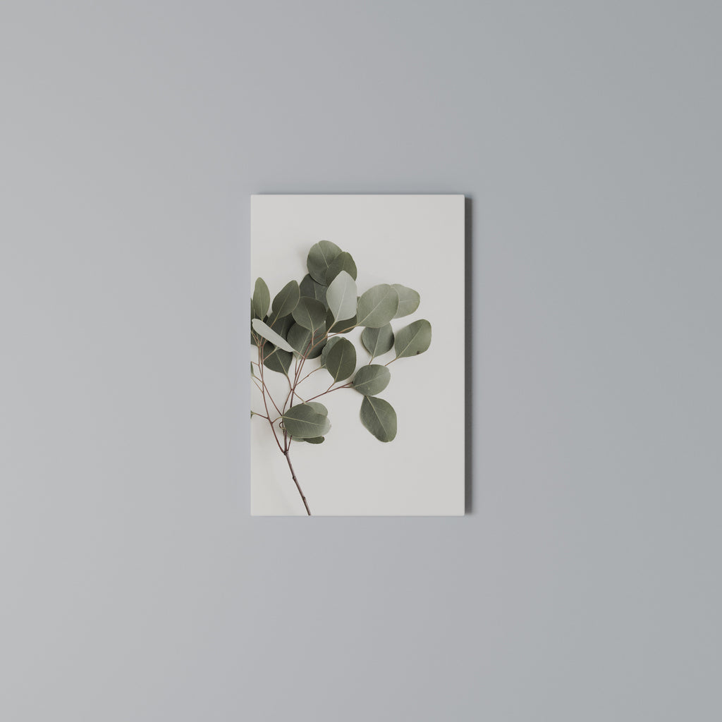 EUCALYPTUS BRANCH Vertical Canvas Print