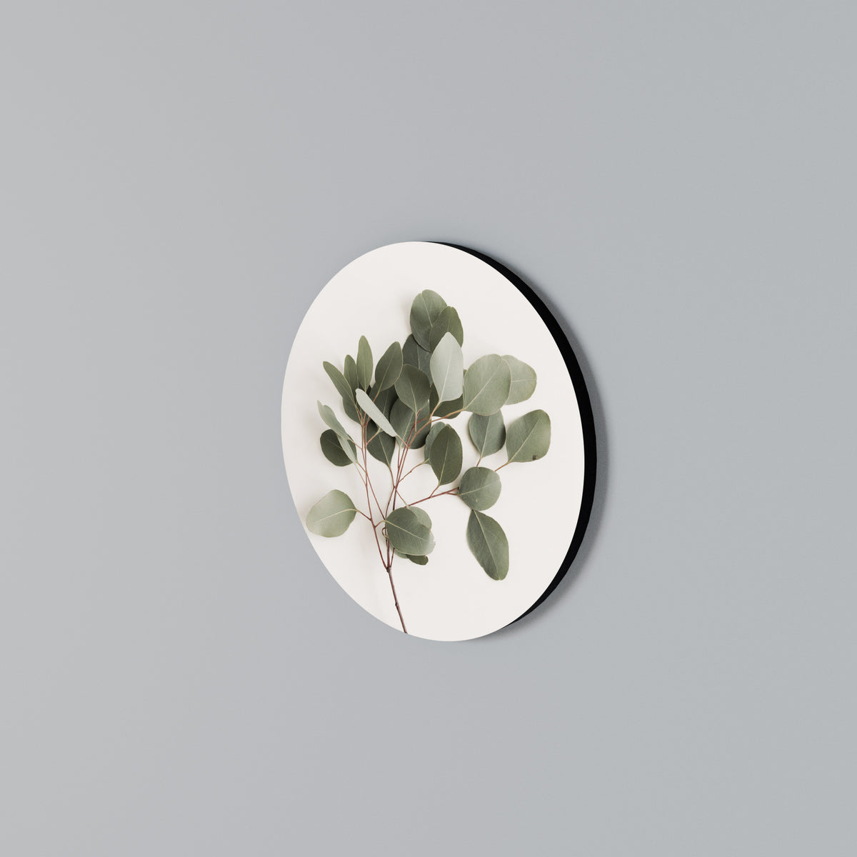EUCALYPTUS BRANCH Rundes Wandbild